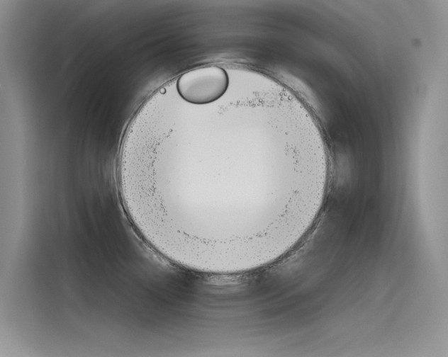 X0000115781338200911130958