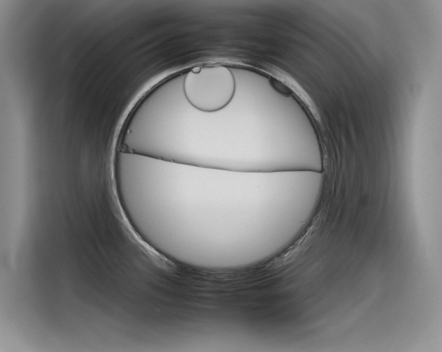 X0000115781339200911130958