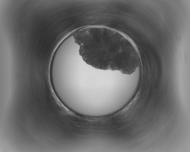 X0000115781341200911130958