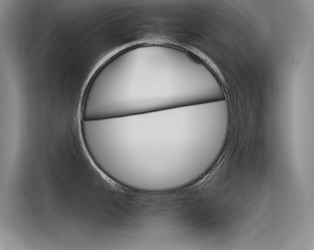 X0000115781343200911130959