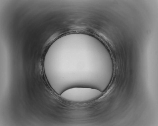 X0000115781354200911130958