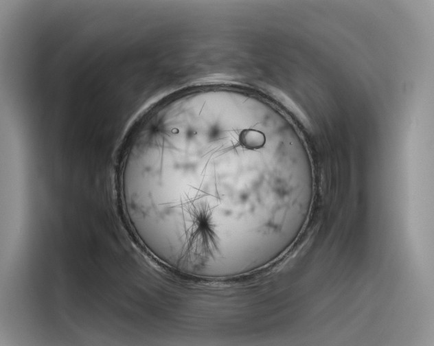 X0000115781356200911130958