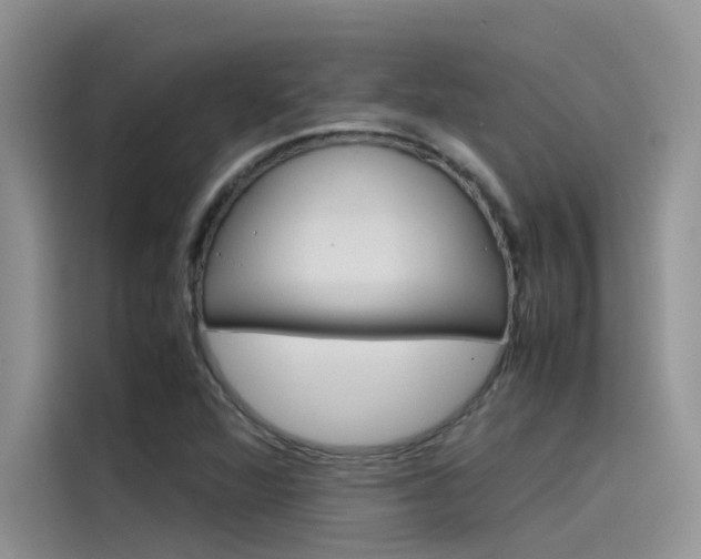 X0000115781360200911130958