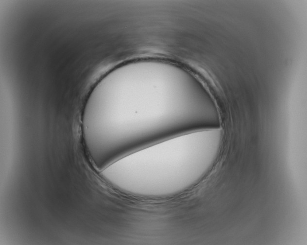 X0000115781363200911130958