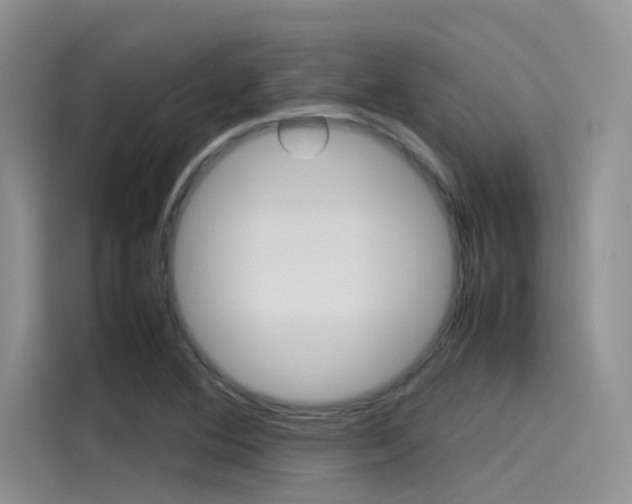X0000115781364200911130958