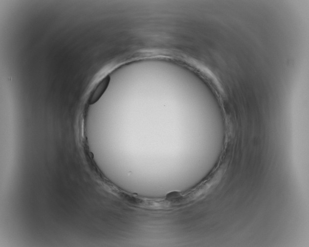 X0000115781365200911130958