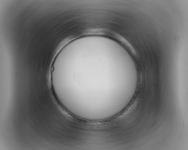 X0000115781370200911130958