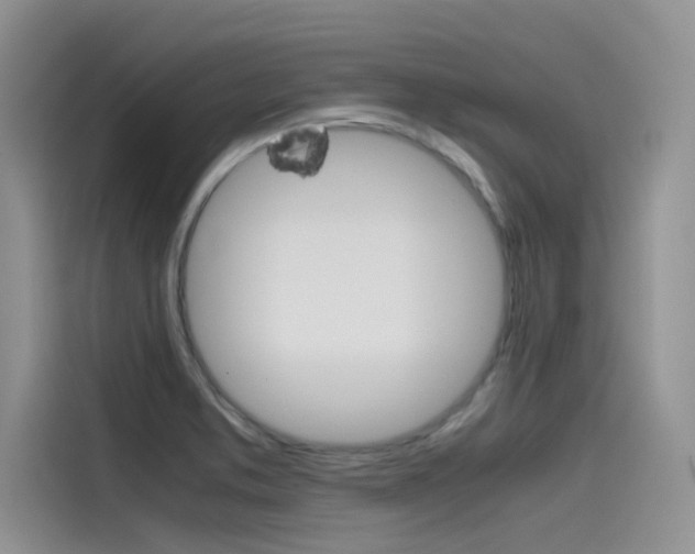 X0000115781373200911130958