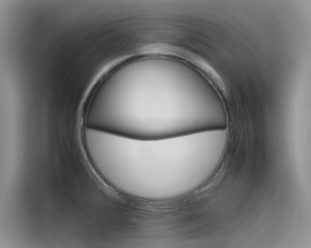 X0000115781376200911130958