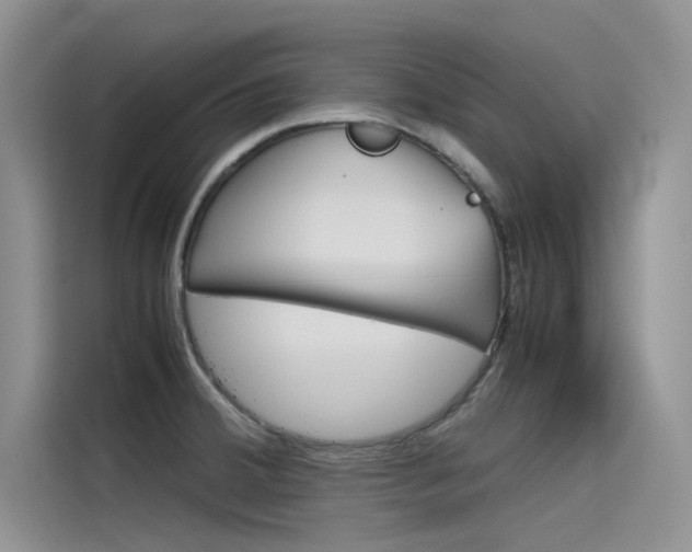 X0000115781380200911130957