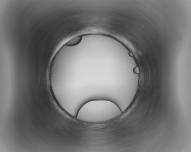 X0000115781382200911130957