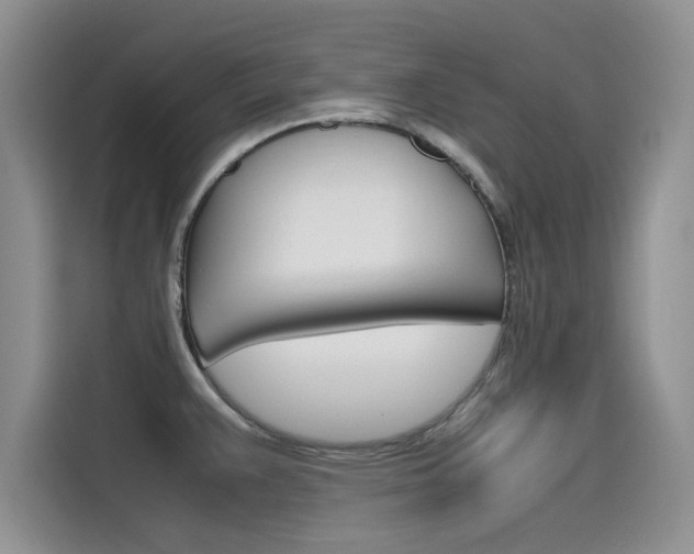 X0000115781383200911130957