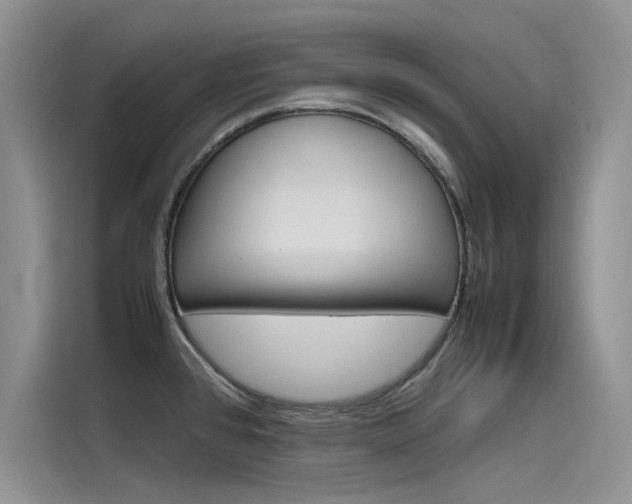 X0000115781384200911130957