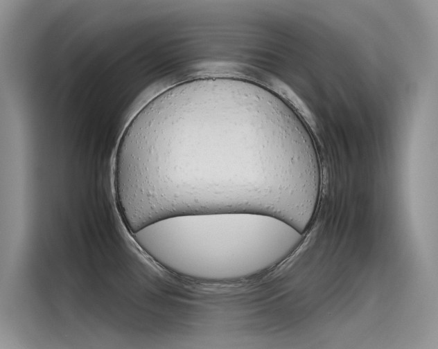 X0000115781386200911130957