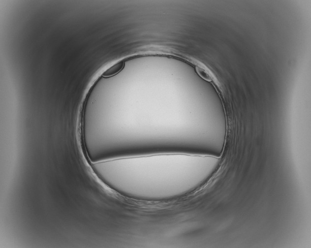 X0000115781387200911130957