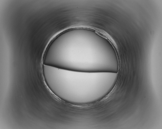 X0000115781388200911130957