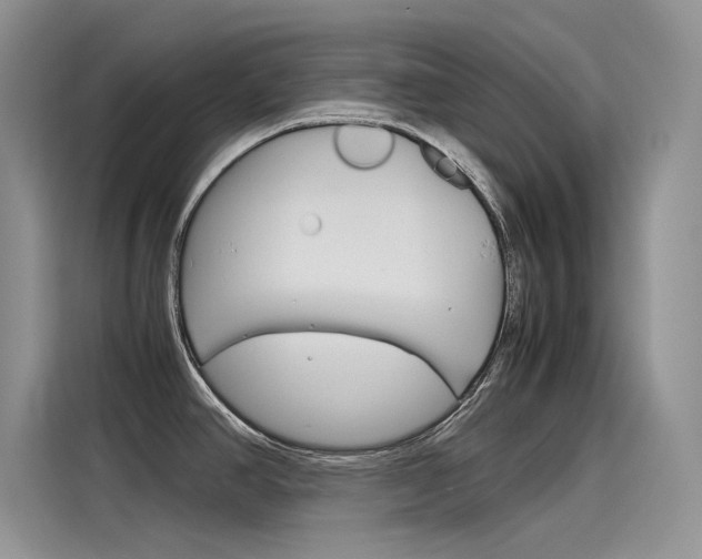 X0000115781390200911130957