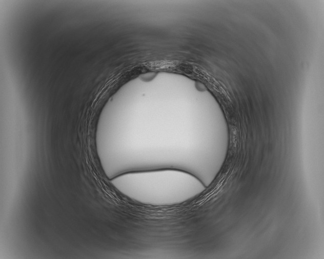X0000115781393200911130957