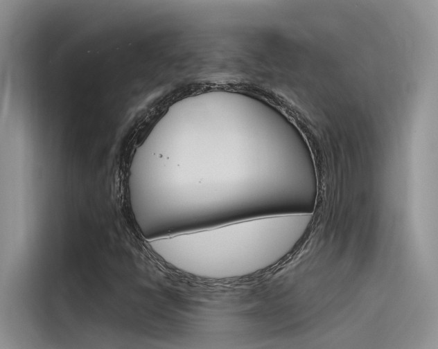 X0000115781398200911130957