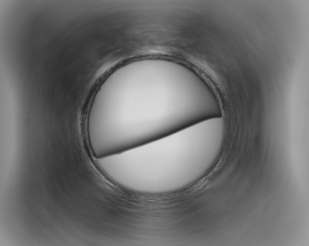 X0000115781404200911130957