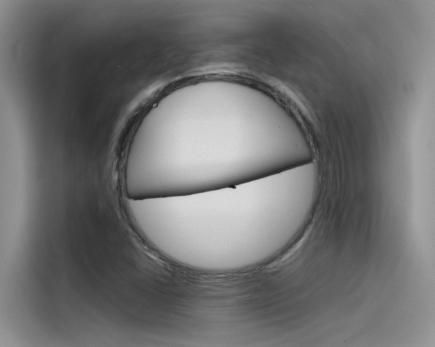 X0000115781406200911130957