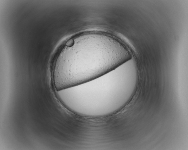X0000115781408200911130957