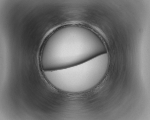 X0000115781412200911130957