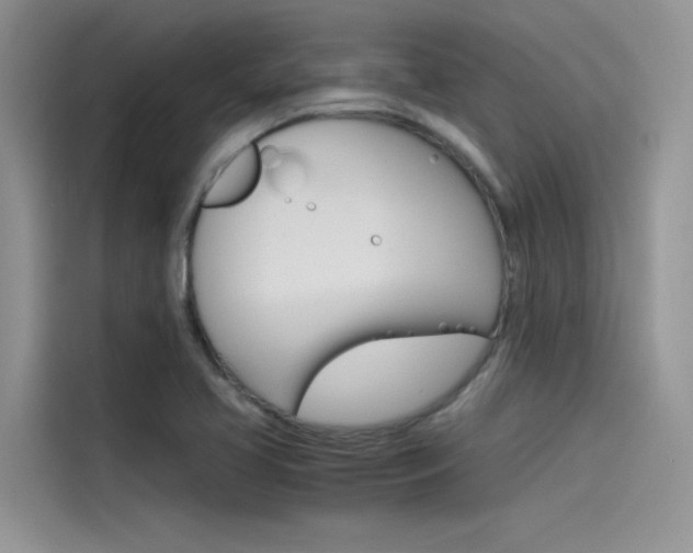 X0000115781413200911130957