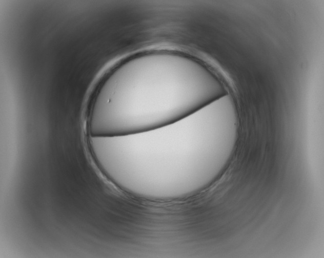 X0000115781416200911130957