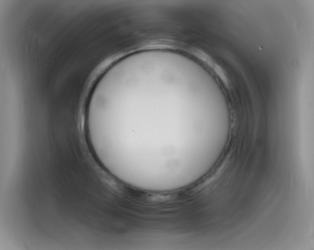 X0000115781419200911130957