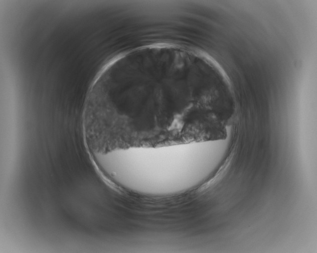 X0000115781425200911130957