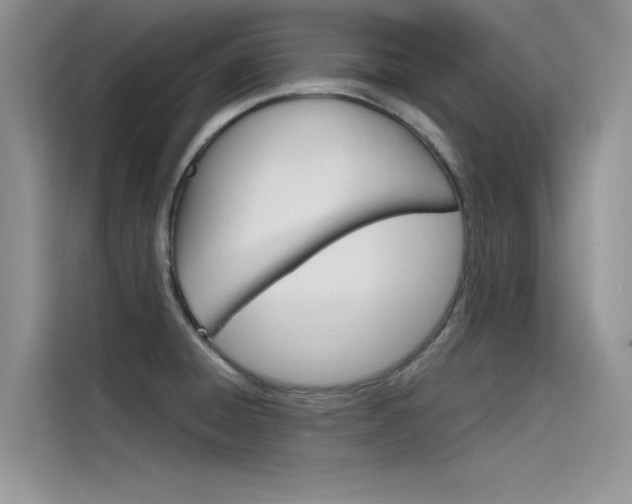 X0000115781428200911130957