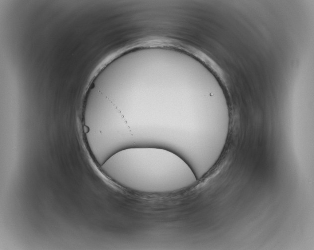 X0000115781429200911130957