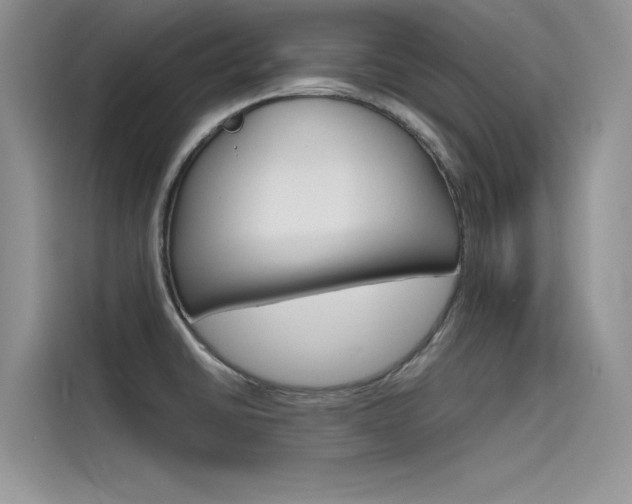 X0000115781430200911130957