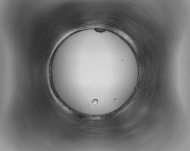 X0000115781431200911130957