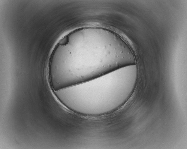 X0000115781432200911130957