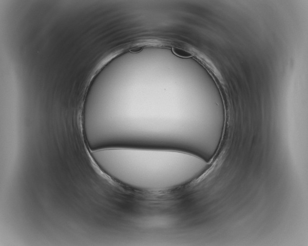 X0000115781433200911130957
