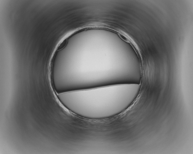 X0000115781437200911130957