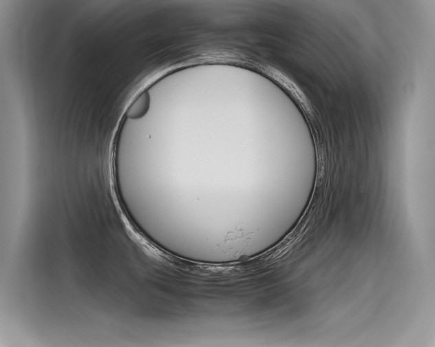 X0000115781439200911130957