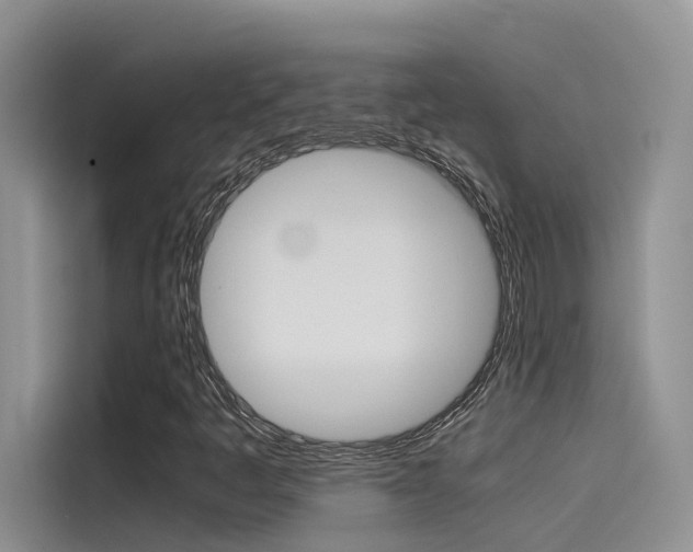 X0000115781445200911130957