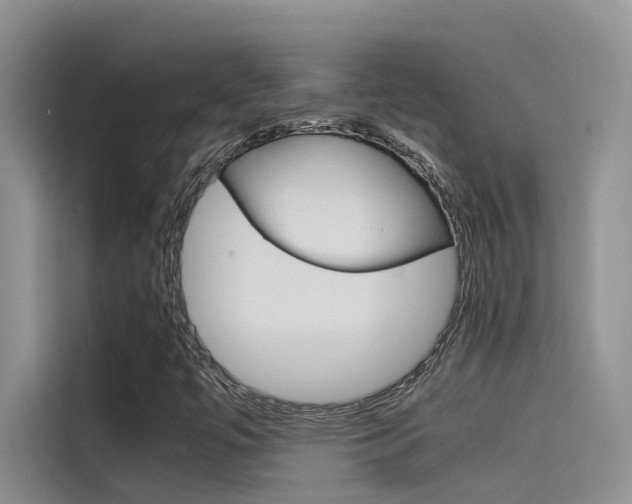 X0000115781447200911130957