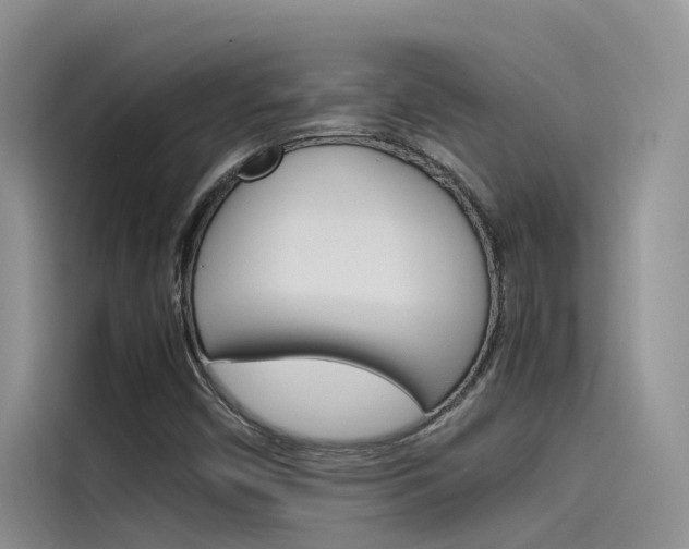 X0000115781450200911130957