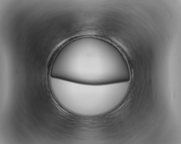 X0000115781452200911130957