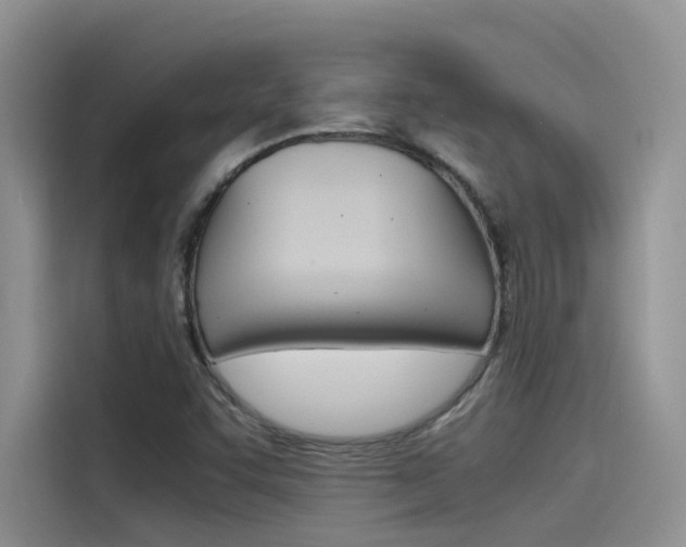 X0000115781455200911130956