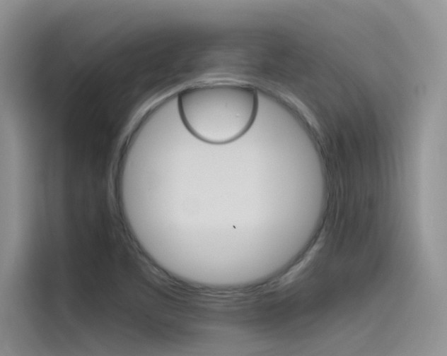 X0000115781461200911130956