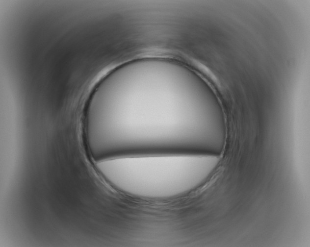 X0000115781463200911130956
