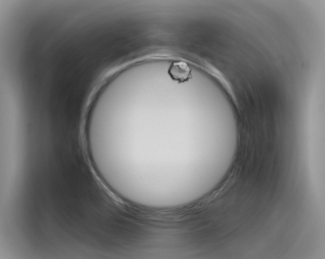 X0000115781464200911130956