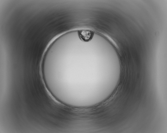 X0000115781468200911130956