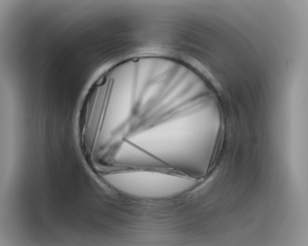 X0000115781469200911130956
