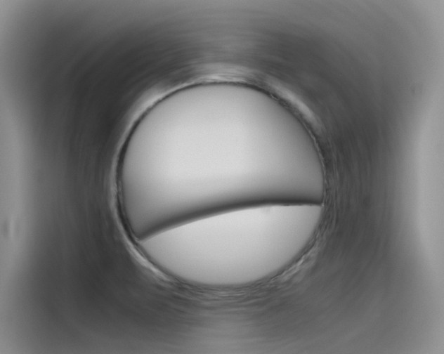 X0000115781471200911130956
